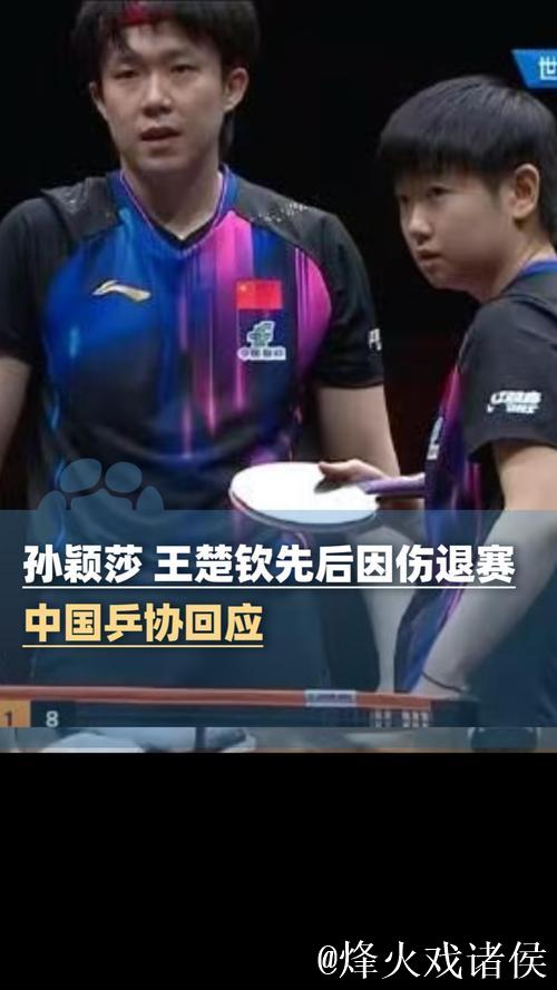 中国乒乓球队遭遇伤病困扰！王楚钦与孙颖莎退赛，2026年赛程安排引发关注，过于密集。